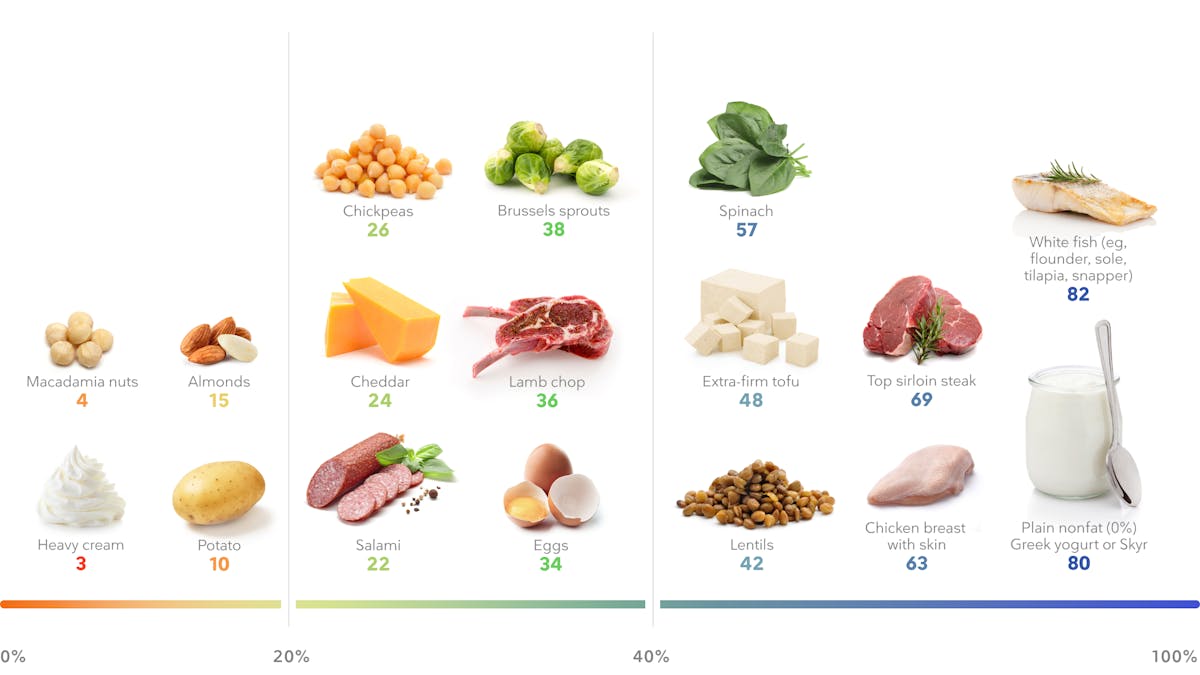 The best high protein foods for weight loss
