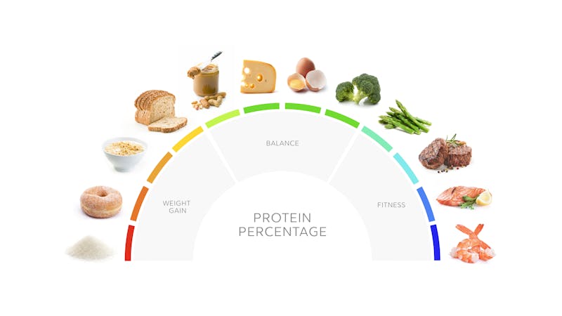 protein_